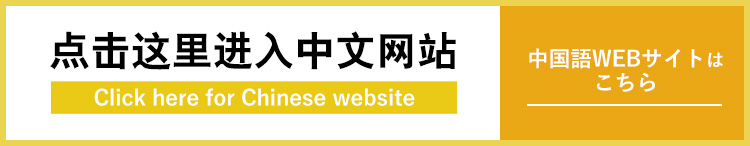 chinese website